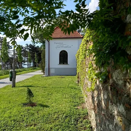 Guest house Pod Hradkem *